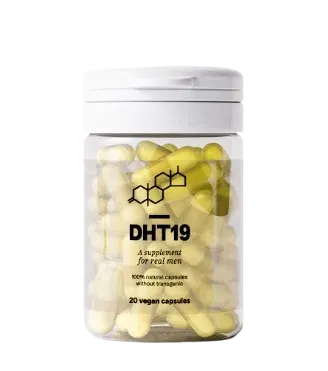 DHT19 termék